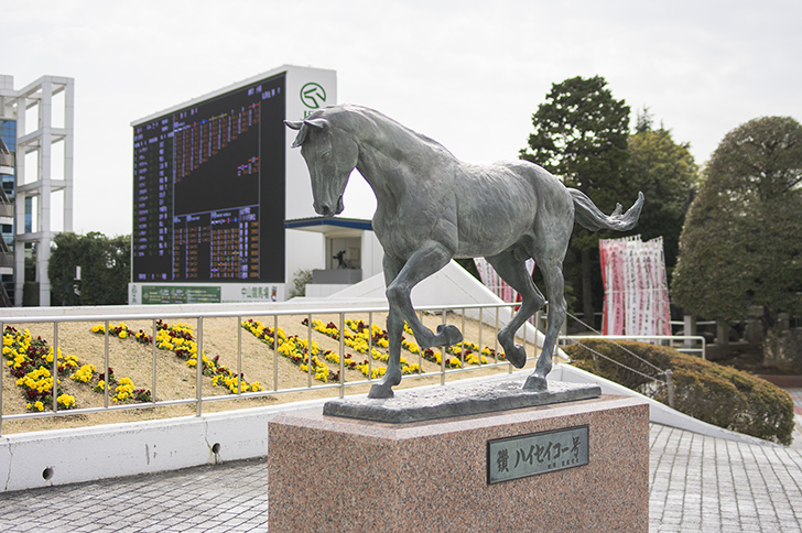 千葉県船橋市古作中山競馬場のハイセイコー像