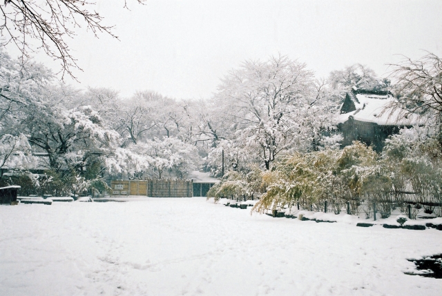 千葉県松戸市平賀にある、本土寺の雪景色