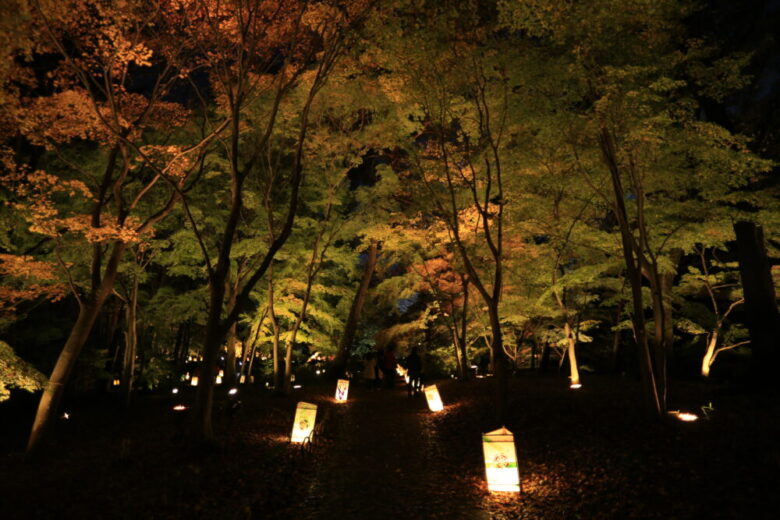 埼玉県比企郡滑川町森林公園の紅葉