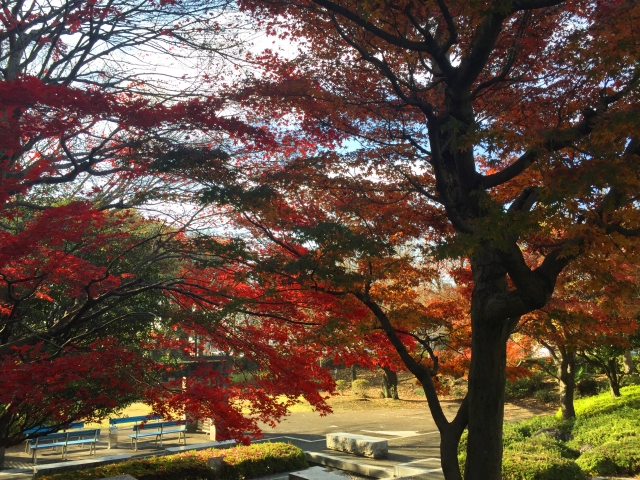 埼玉県狭山市の公園