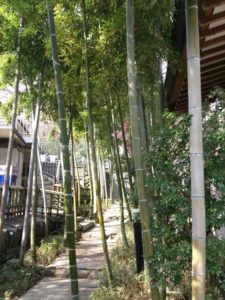 埼玉県川口市安行の密蔵院