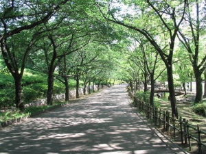 埼玉県上尾市の丸山公園