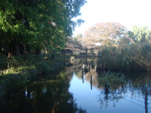 杉並区の都立善福寺公園
