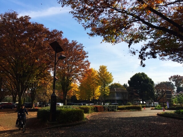 小平市の小金井公園