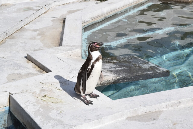 羽村市動物公園