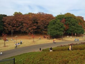 小金井市秋の小金井公園