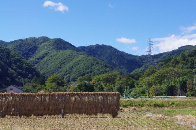 青梅市秋の御岳山