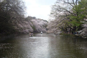 武蔵野市井の頭公園