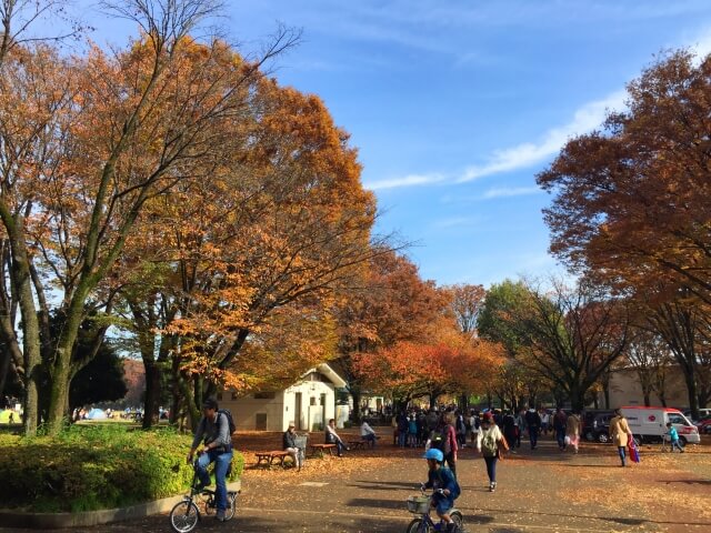 西東京市小金井公園