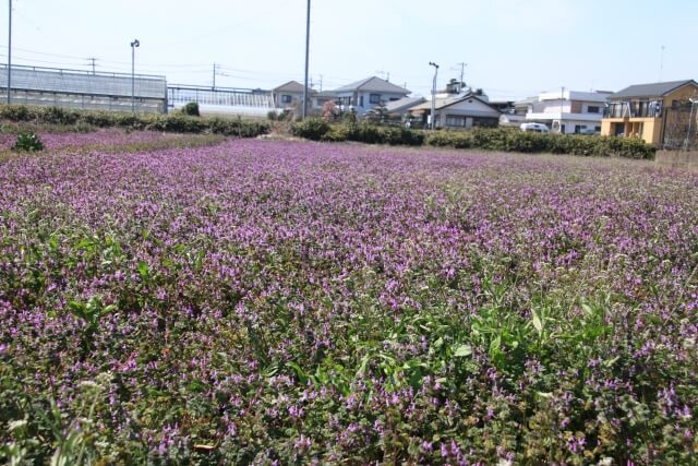 瑞穂町のプロパンガス最安値料金