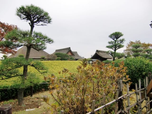 足利市の足利氏宅跡・鑁阿寺