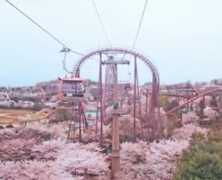 稲城市の桜ロープウェイ