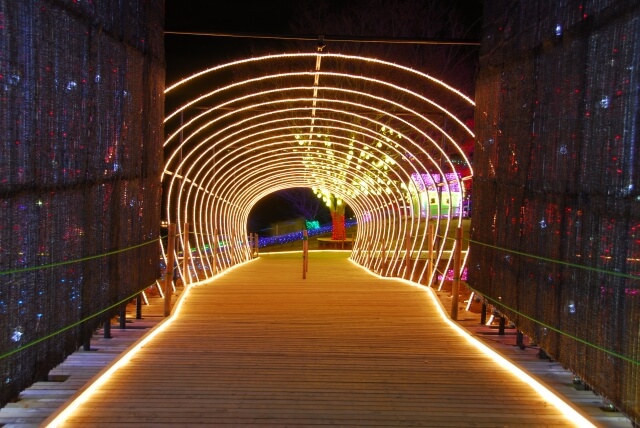 袖ヶ浦市の光のトンネル