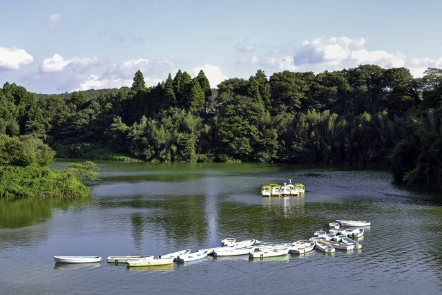 市原市の高滝湖