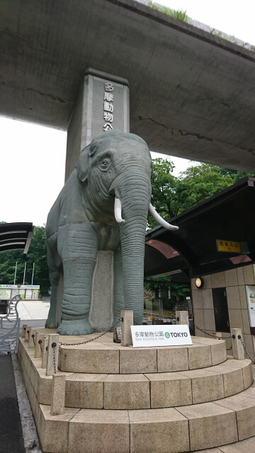日野市の多摩動物園入口のゾウ