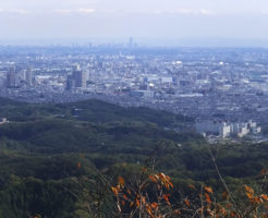 八王子市の高尾山からの風景