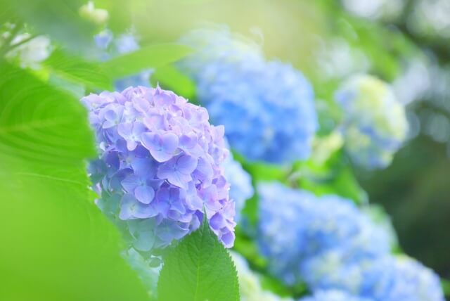 開成町のプロパンガス最安値料金