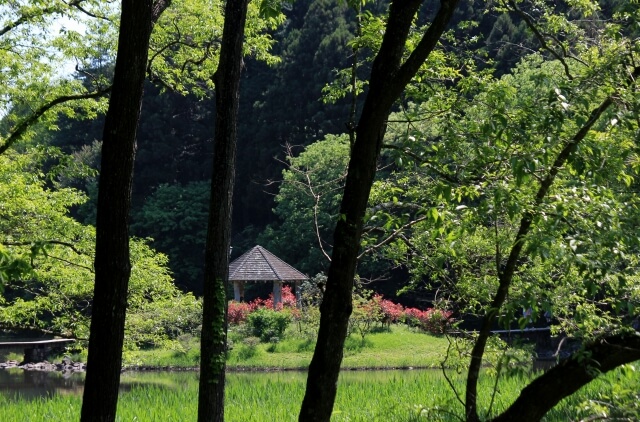 那珂市内の公園