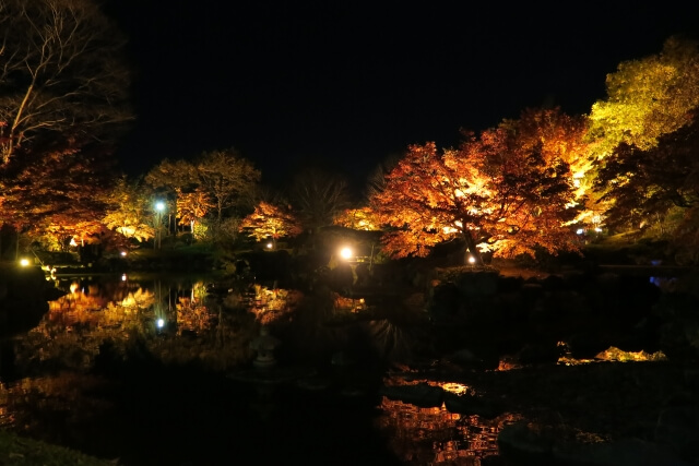 藤岡市の桜山公園