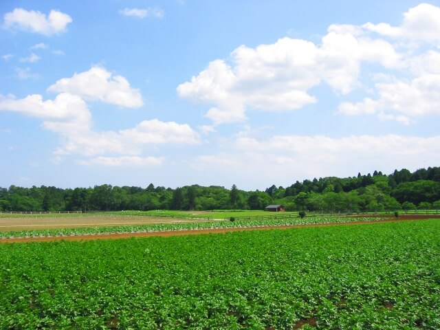 若葉区のプロパンガス最安値料金