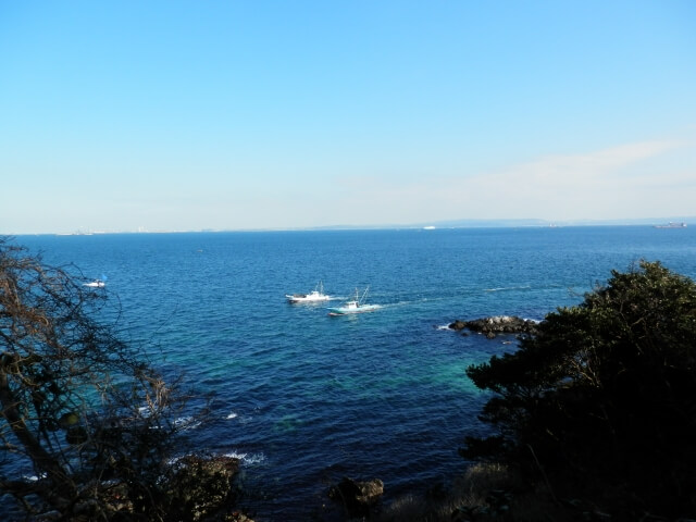横須賀市の猿島