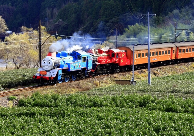 島田市の大鉄SLトーマス号