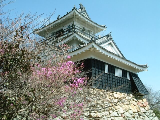 浜松市の浜松城