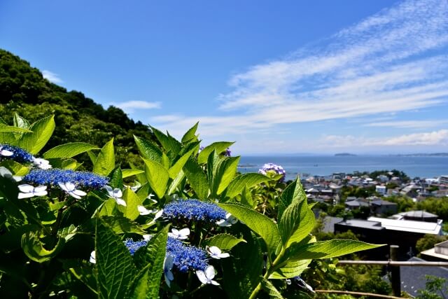 葉山町の風景