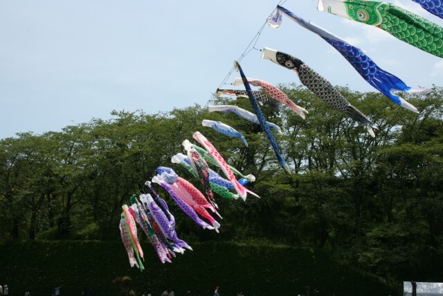 藤枝市蓮華寺池公園の鯉のぼり