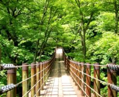 高萩市のつり橋