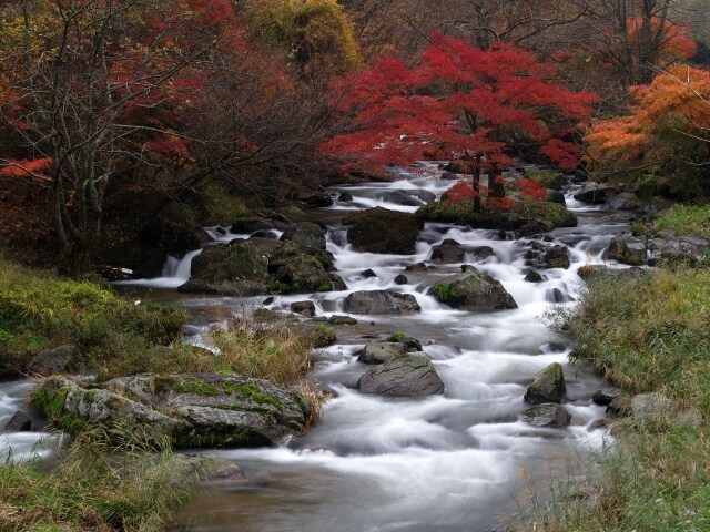 鮫川村の紅葉と渓流