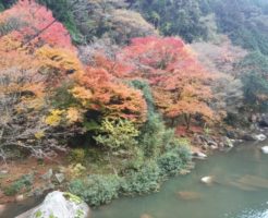 那珂川町の紅葉