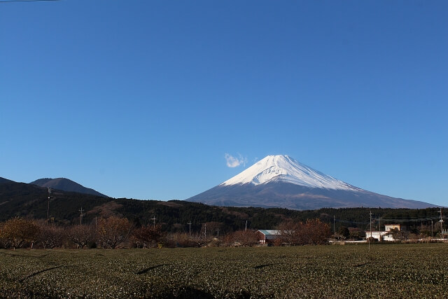 裾野市から見た富士山
