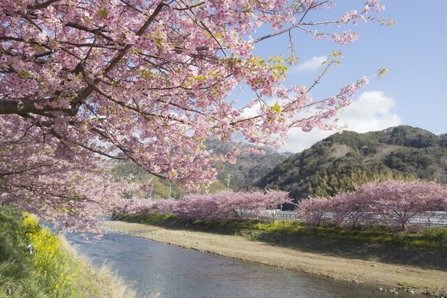 河津町のプロパンガス最安値料金