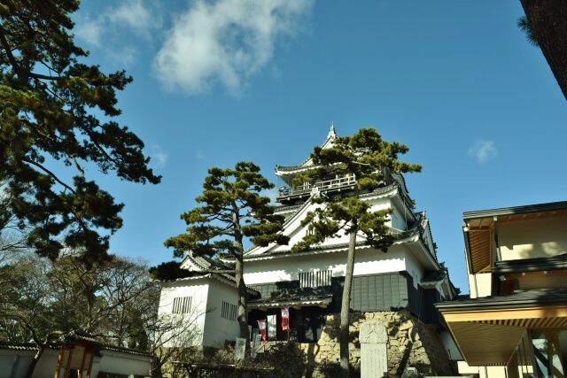 岡崎市岡崎城