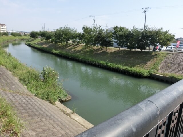 高浜市の川沿いの風景
