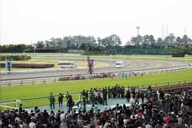 豊明市の中京競馬場