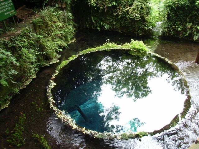 清水町の柿田川湧水群