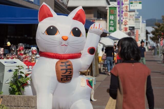 瀬戸市の猫祭り