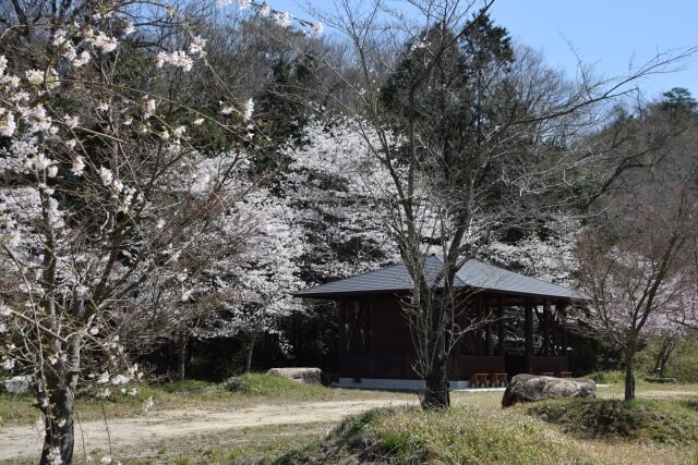 土岐市の土岐嵐山