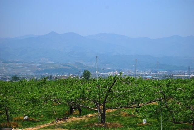 笛吹市のプロパンガス最安値料金