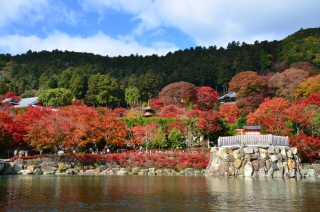 箕面市勝尾寺の紅葉