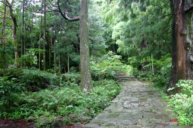 和歌山県の熊野古道