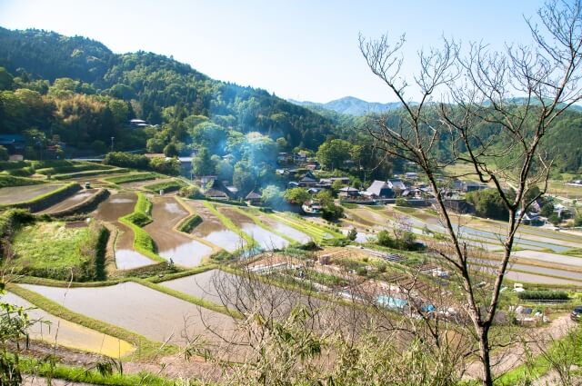 能勢町の長谷の棚田2