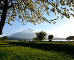 山中湖村　富士山