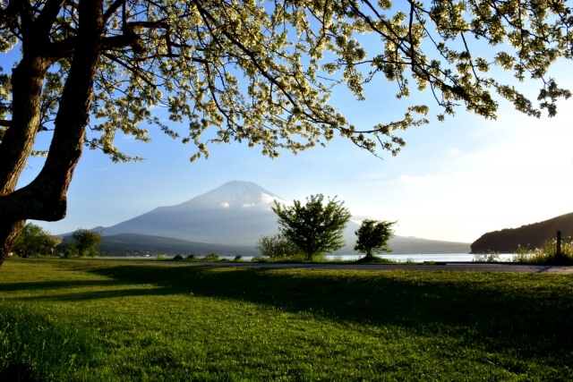 山中湖村　富士山