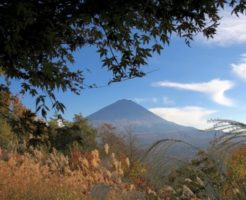 鳴沢村から望む富士山