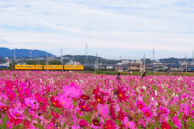 三重県東員町のプロパンガス平均価格と最安値料金