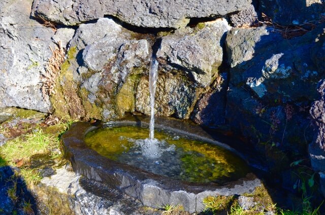 鳴沢村の湧き水