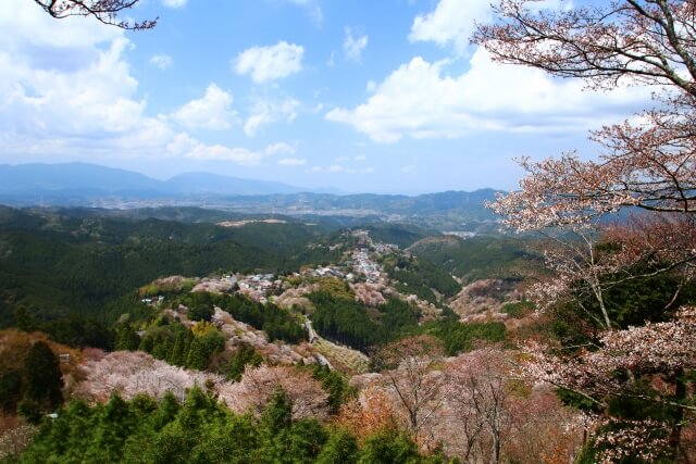 吉野町の風景